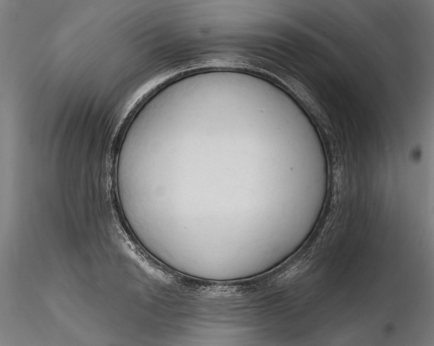 X0000116320846200912221357