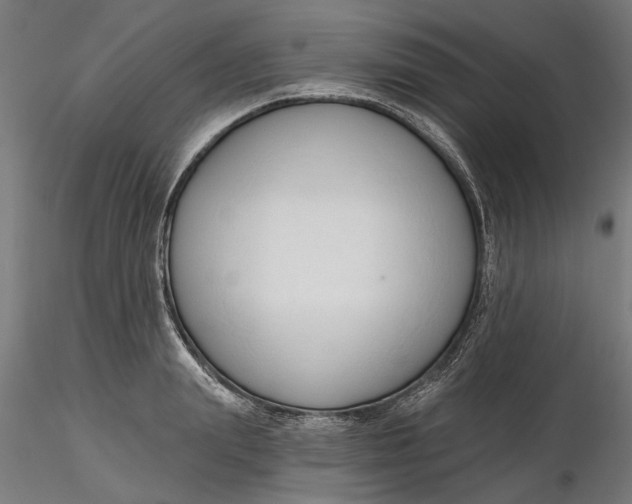 X0000116320847200912221357