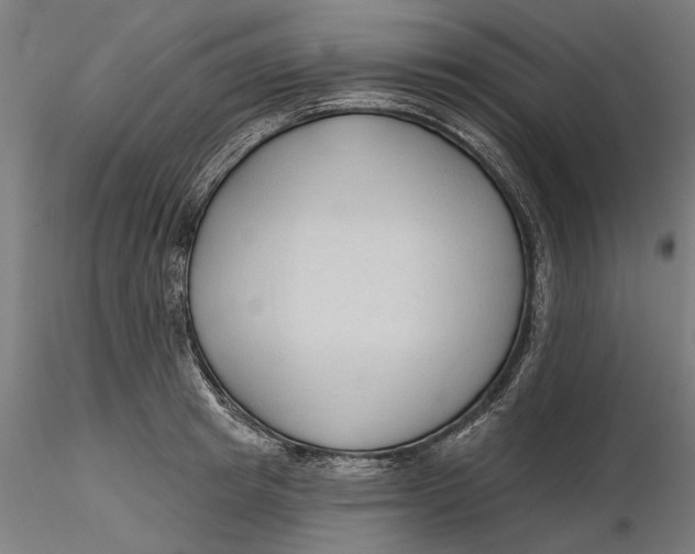 X0000116320849200912221357