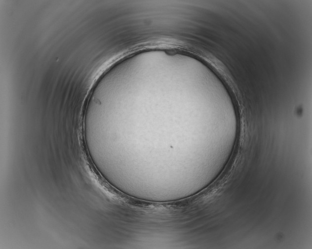 X0000116320850200912221357