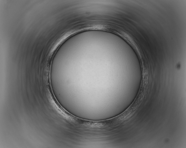 X0000116320851200912221357