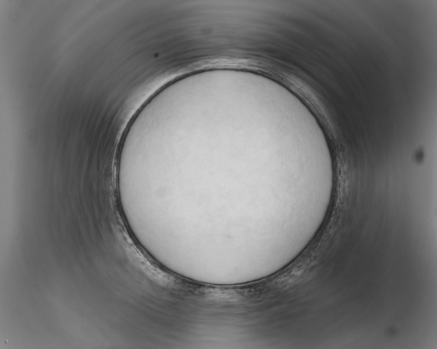 X0000116320852200912221357