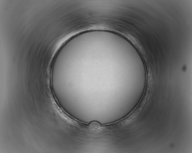 X0000116320854200912221357