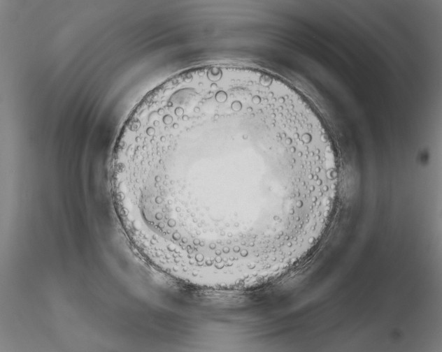 X0000116320856200912221357