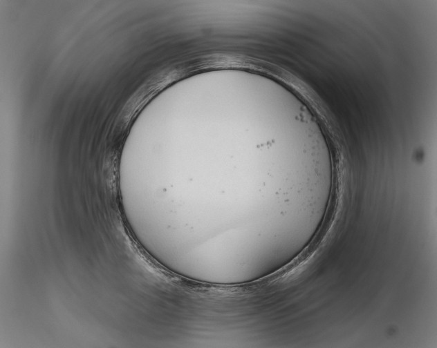 X0000116320857200912221357