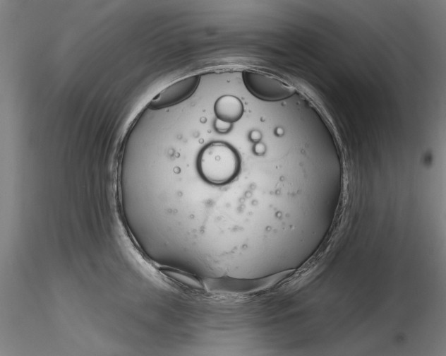 X0000116320859200912221357