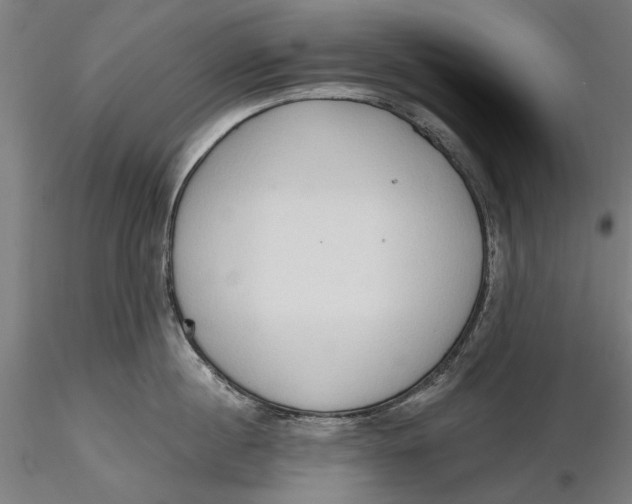 X0000116320860200912221357