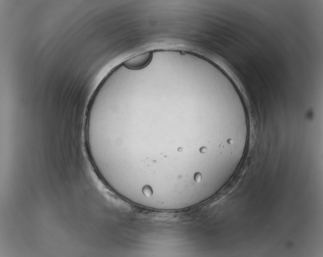 X0000116320861200912221357