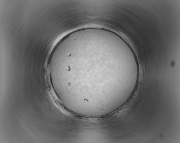 X0000116320862200912221357