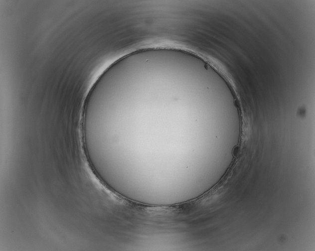 X0000116320863200912221357