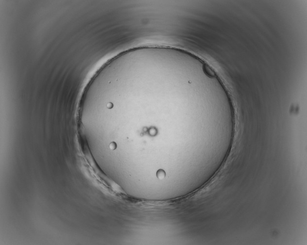 X0000116320864200912221357