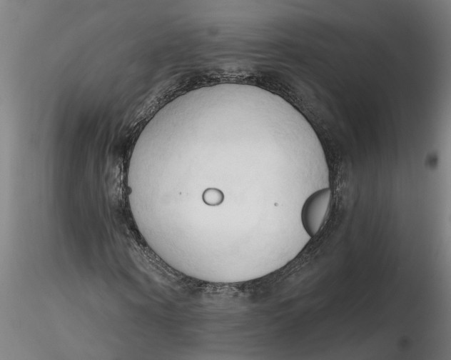 X0000116320866200912221357