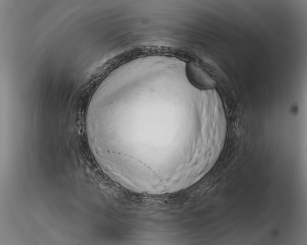 X0000116320870200912221357