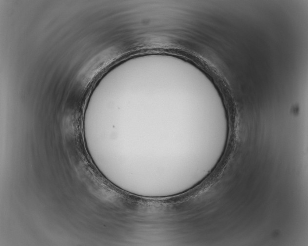 X0000116320873200912221357