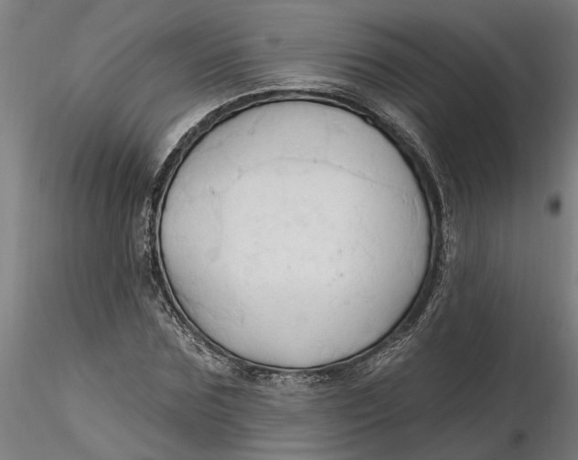 X0000116320875200912221357