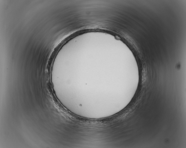 X0000116320876200912221357