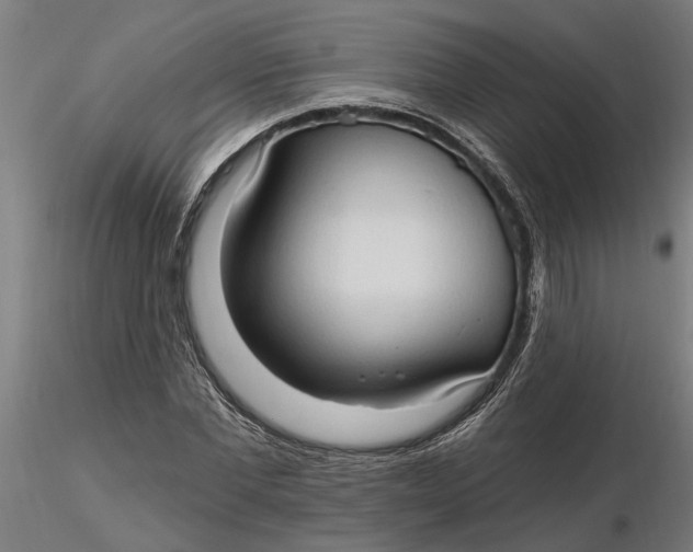 X0000116320877200912221357