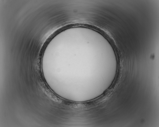 X0000116320879200912221357