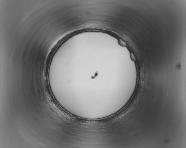 X0000116320880200912221357