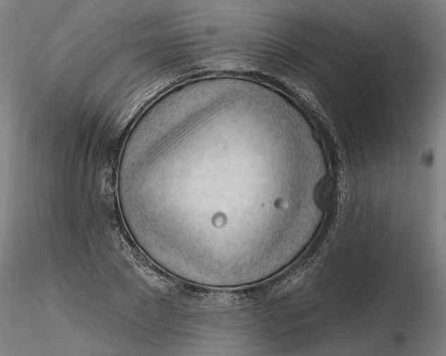 X0000116320881200912221357