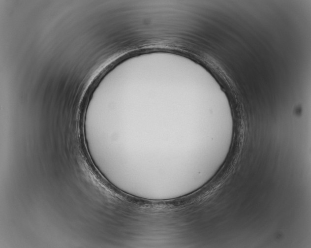 X0000116320884200912221356