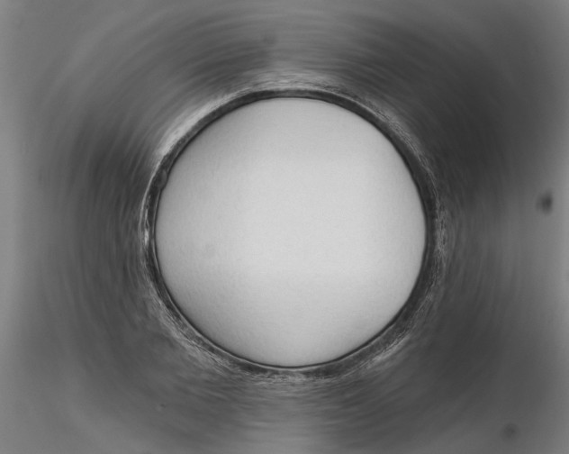 X0000116320885200912221356