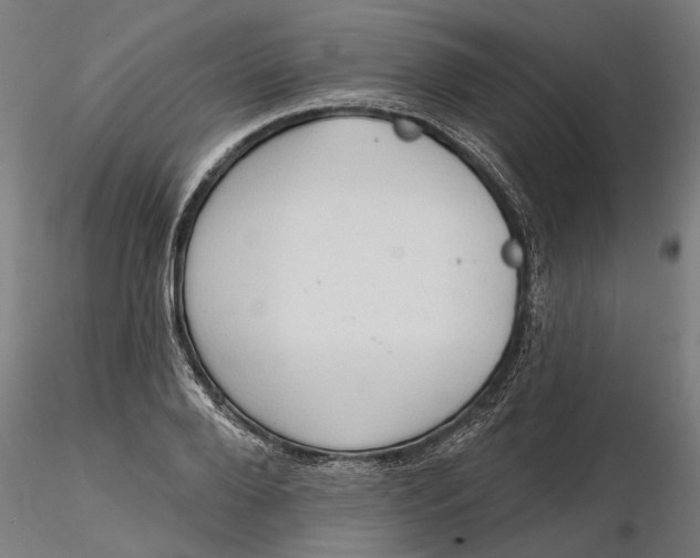 X0000116320888200912221356