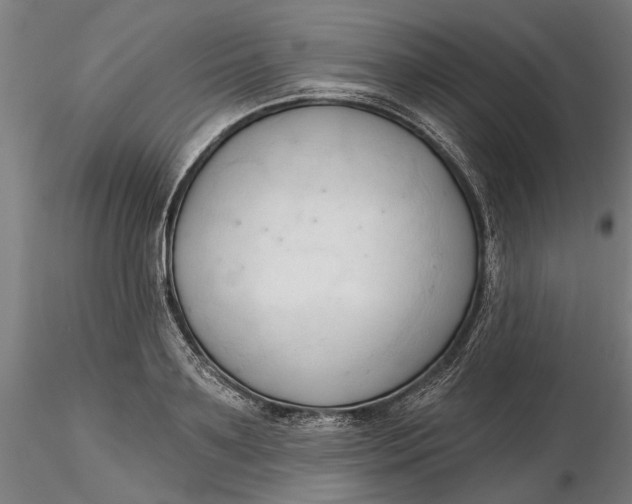 X0000116320891200912221356