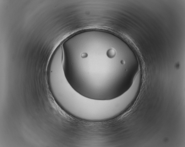 X0000116320892200912221356