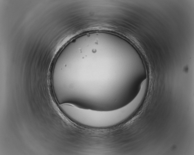 X0000116320893200912221356