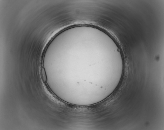 X0000116320895200912221356