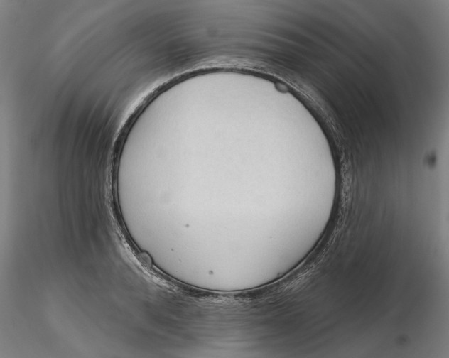 X0000116320896200912221356