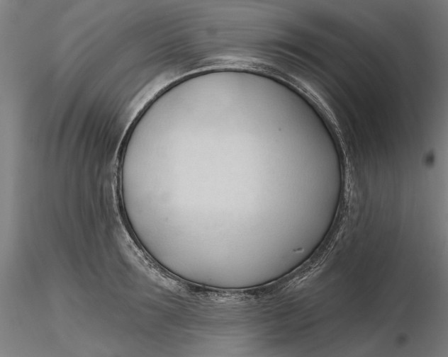 X0000116320899200912221356