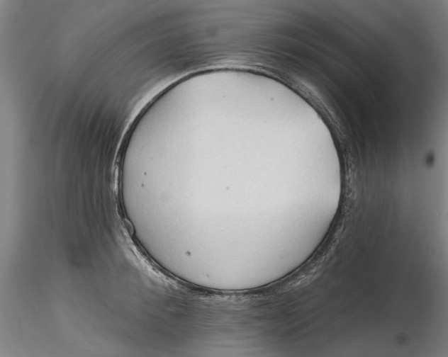 X0000116320900200912221356