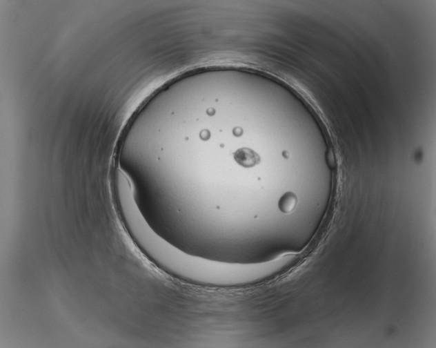 X0000116320901200912221356