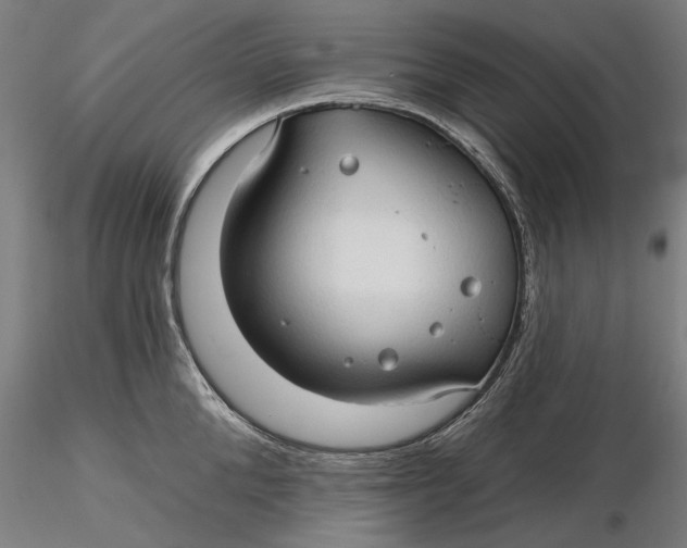 X0000116320904200912221356