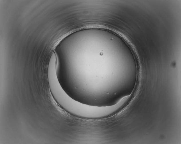 X0000116320905200912221356