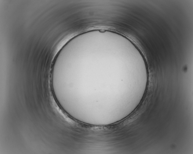 X0000116320906200912221356