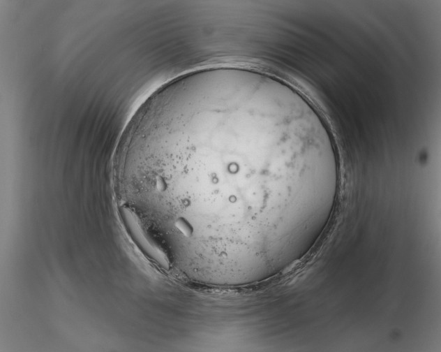 X0000116320907200912221356