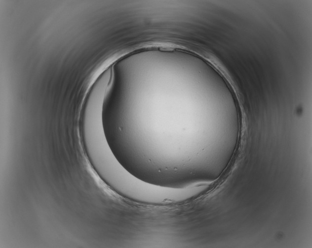 X0000116320909200912221356