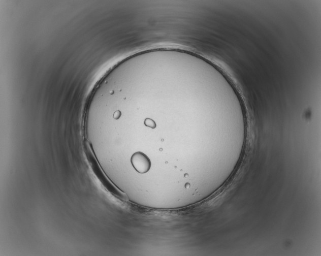 X0000116320910200912221356