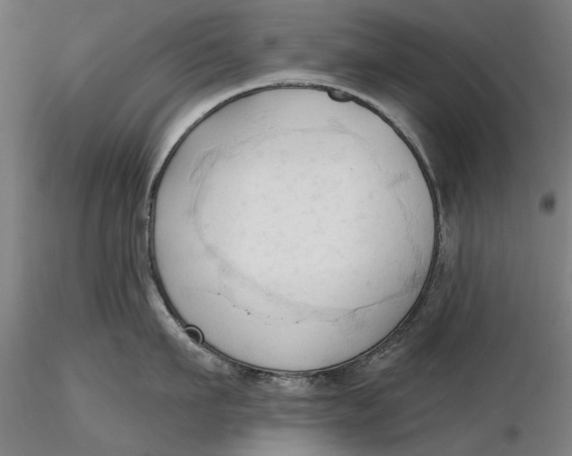 X0000116320911200912221356