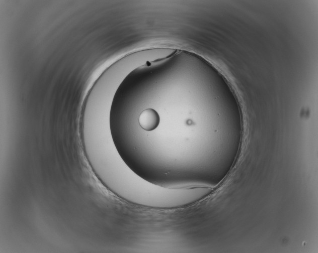 X0000116320912200912221356