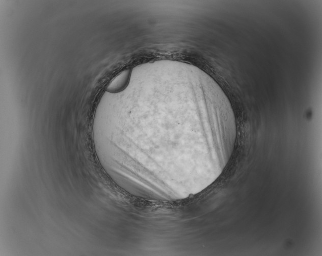 X0000116320913200912221355