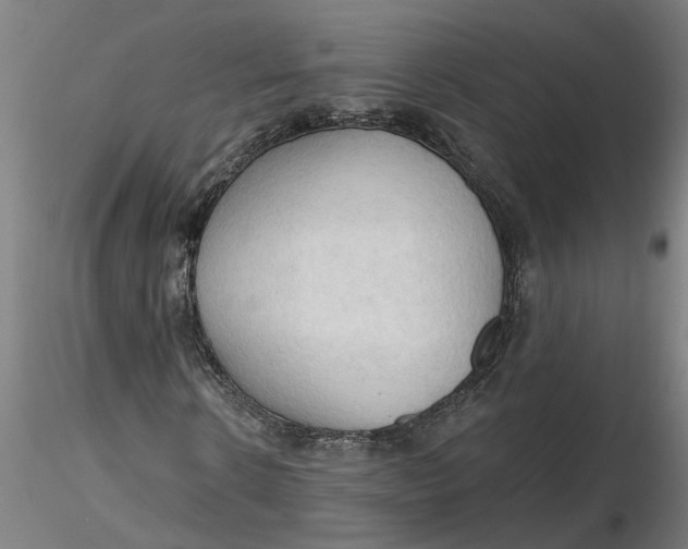 X0000116320914200912221355