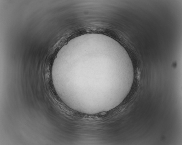 X0000116320915200912221355