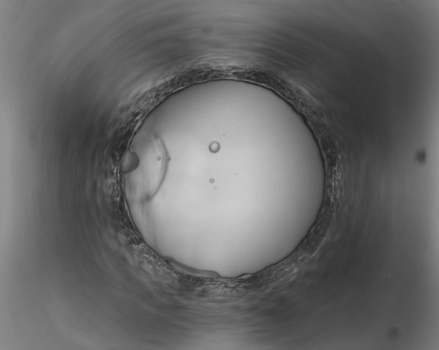 X0000116320917200912221355