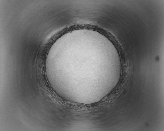 X0000116320919200912221356