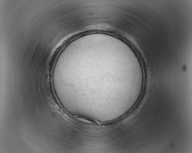 X0000116320923200912221356