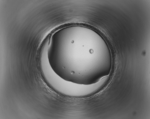 X0000116320926200912221356